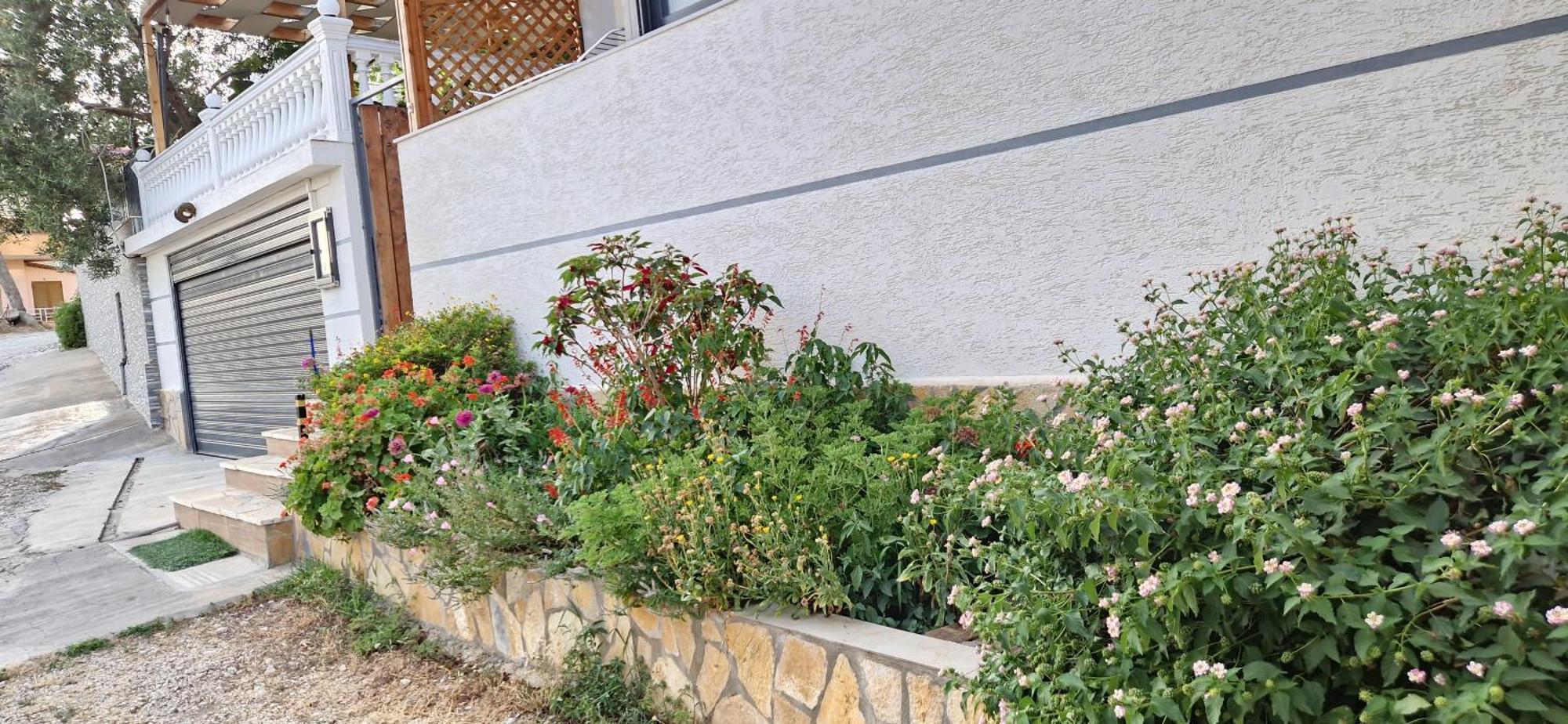 סרנדה Sala Apartment'S מראה חיצוני תמונה